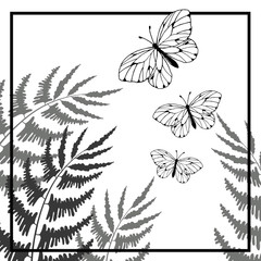 A frame in monochrome colors with flora and butterflies