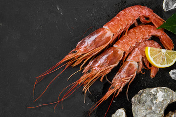 assorted fresh fish on black background