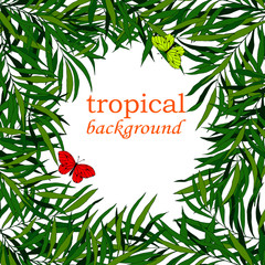 tropical background, summer illustration