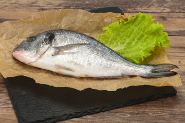 Raw Dorada fish  for cooking