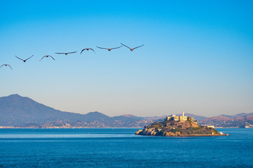 Alcatraz Prison Island in San Francisco Bay, offshore from San Francisco, California, a small island with military fortification and federal prison, now a famous national historical landmark. - obrazy, fototapety, plakaty