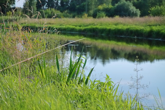 fishing rod on the pond. on the grass is a fishing rod for fishing. fishing is a hobby. fishing is a great stay. fishing line on a fishing rod and the float.