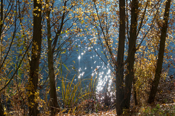 OTOÑO PASEO SALAMANCA