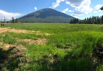 Obraz premium landscape with green field and blue sky