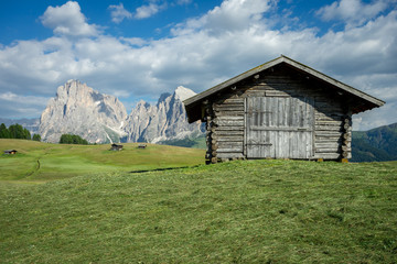 une grange en bois au milieu d'un champ fauch&eacute; avec une montagne en arri&egrave;re plan