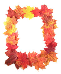 Isolated Autumn Leaves frame