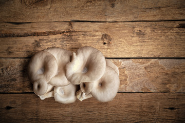 Oyster mushroom on wooden background.(Indian Oyster, Phoenix Mushroom)