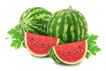 Composition with ripe watermelons and leaves isolated on white background. As design elements.