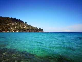 Fototapeta premium Exotic beach with green, emerald water color