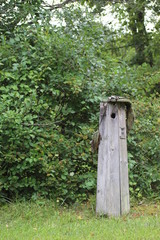 birdhouse by a tree