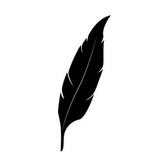 Obraz premium feather isolated on white background