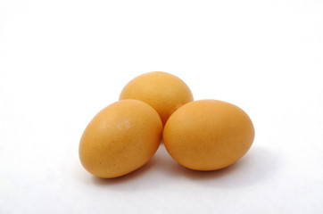 계란 요리 음식  간식 재료 유정란 토종 목초