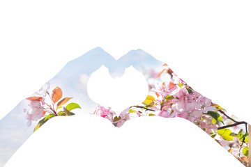 Figure-symbol from the hands of the blossoming garden, folded with a heart against a white background