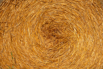 Hay bales on field After Harvest In Sunny Evening At Sunset . Golden straw texture background, close up