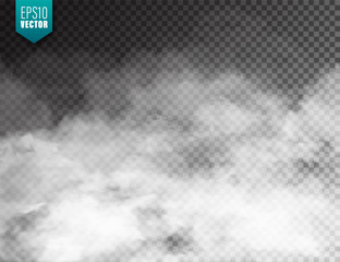  Realistic fog, mist effect. Smoke isolated on transparent background. Vector vapor in air, steam flow. Clouds. - obrazy, fototapety, plakaty