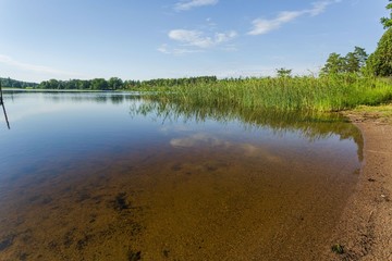 Beautiful view of calm lake water surface. Coast line merges with horizon line. Green plants and...