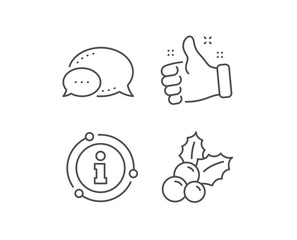 Christmas holly line icon. Chat bubble, info sign elements. Ilex aquifolium sign. Linear christmas holly outline icon. Information bubble. Vector