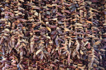 Dried small red peppers on the farmers market in Funchal, Madeira Island.  