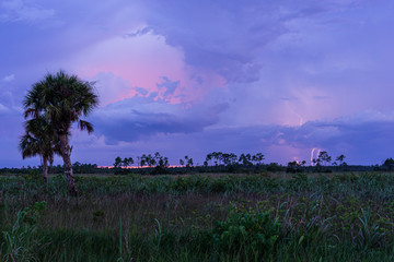 Lightning at sunset at Pine Glades Natural Area, Jupiter, Florida, Palm Beach County, USA