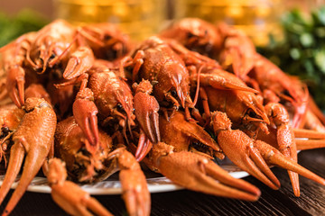 Boiled crayfish with beer on wooden background