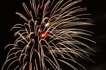 Salute, fireworks in the night sky.