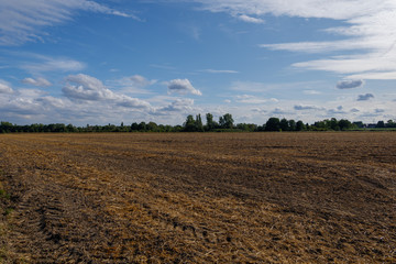 Outdoor sunny view of agricultural land after ploughed against blue sky.