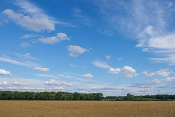 Outdoor sunny view of agricultural land after ploughed against blue sky.