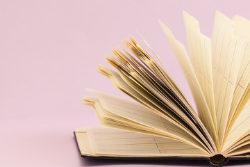 open yellow agenda whit purple background