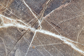 Natural stone texture closeup. Selective focus.