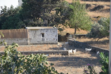 Tinos Cycladic Islands Greece holiday vacation