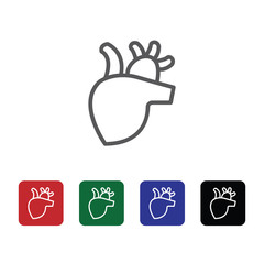 Anatomy, hearth vector icon. Element of medicine for mobile concept and web apps illustration. Thin line icon for website design and development. Vector icon