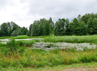 Fototapeta na wymiar Teich in der Landschaft