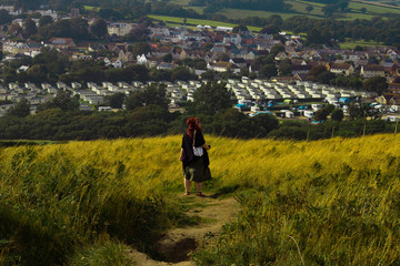 Fototapeta premium Dorset