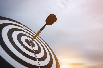 Bullseye is a target of business. Dart is an opportunity and Dartboard is the target and goal. So...