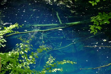 《十二湖の青池》青森県深浦町