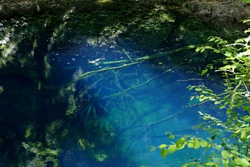 《十二湖の青池》青森県深浦町