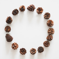 Pinecone on white background with circle composition. flatlay