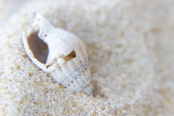 Beach macro textures