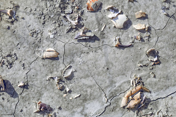 Natural stone texture closeup. Selective focus.