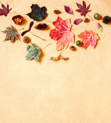Autumn composition. Pattern made of autumn leaves, pine cones and acorns. Flat lay, top view