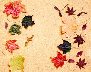 Autumn composition. Pattern made of autumn leaves.