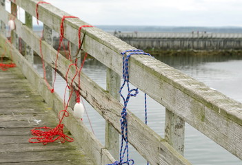 Fototapeta premium Red and blue ropes holding crab traps on a pier in Westhaven Cove