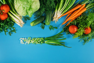 Garden fresh vegetables ready for salad.