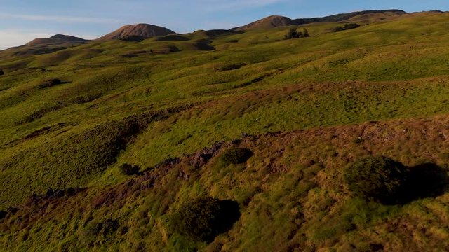 aerial of green grassy fields on the upper Kohala road near Waimea. hills and cinder cones in the distance, flying. low over pasture land.