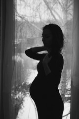 Obraz premium silhouette of a pregnant woman on the background of the window, the interior of the house. The concept of a healthy lifestyle, IVF