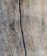 Hoarfrost on tree trunk surface
