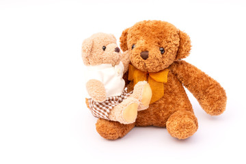 Two brown teddy bear isolated on white background.
