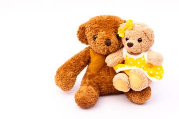 Two brown teddy bear isolated on white background.