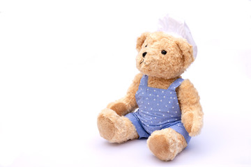 Brown teddy bear isolated on white background.	