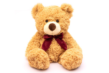 Brown teddy bear isolated on white background.	